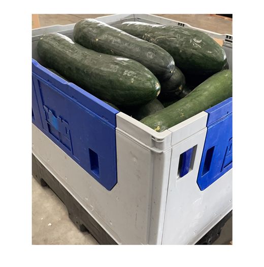 光板箱應(yīng)用